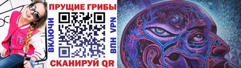 Псилоцибиновые грибы Magic Shrooms  маркетплейс официальный сайт  Ессентукская 